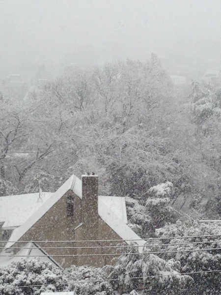 雪